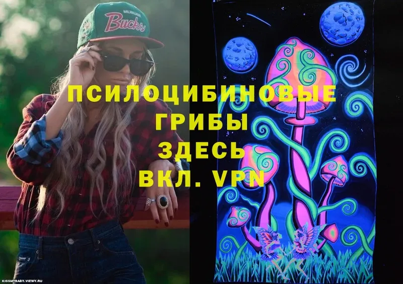 Псилоцибиновые грибы Psilocybe  Тюкалинск 